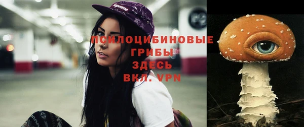 мяу мяу мука Алексин