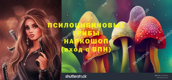 мяу мяу мука Алексин