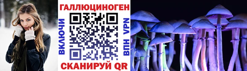 Галлюциногенные грибы Cubensis  Екатеринбург 